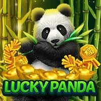Lucky Panda